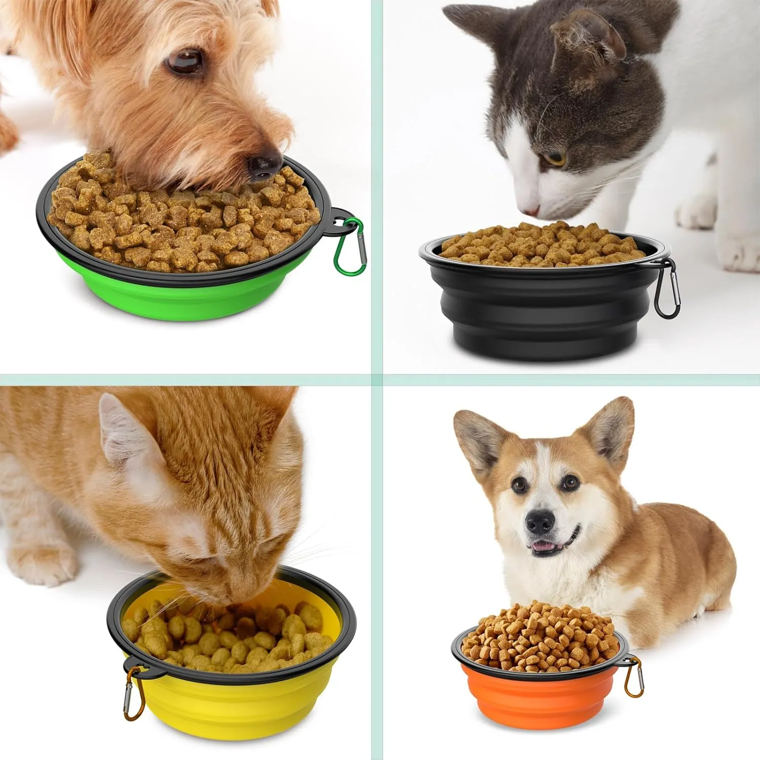 2 Pack Collapsible Dog Bowl Travel Portable Pet Bowls [20oz,600ml],Expandable Foldable Food Water Feeding Dishes for Traveling Hiking Walking,with Carabiners [Black,Blue]