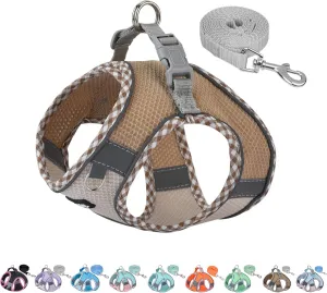 AIITLE Dog Harness and Leash Set - Ultra-Comfortable XXS-XL Vest with Strong Velcro & Glow-in-Dark Reflective Strips, Chafe-Free for Teddy, Schnauzer (Brown-Beige, M)