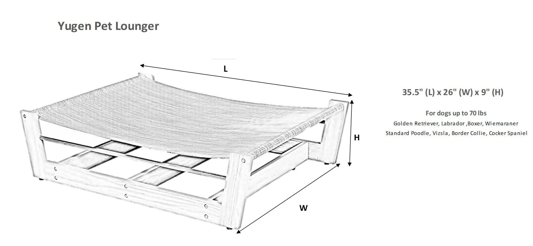 Bowsers pet lounger raised dog bed with mat