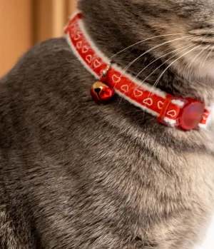 Cat belt