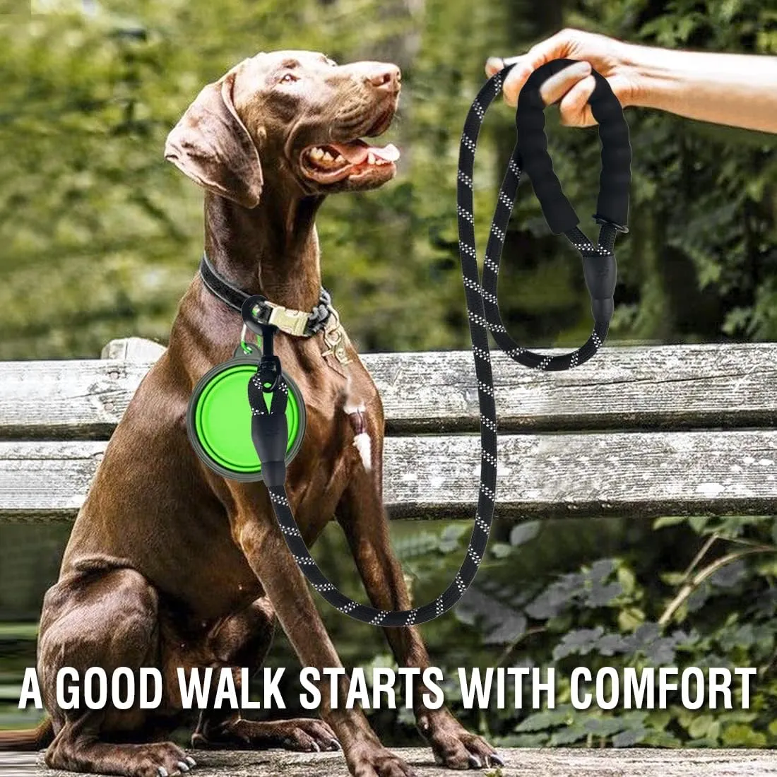COOYOO 2 Pack Dog Leash 6 FT Heavy Duty - Comfortable Padded Handle - Reflective Dog Leash for Medium Large Dogs with Collapsible Pet Bowl Set 6-Black Green