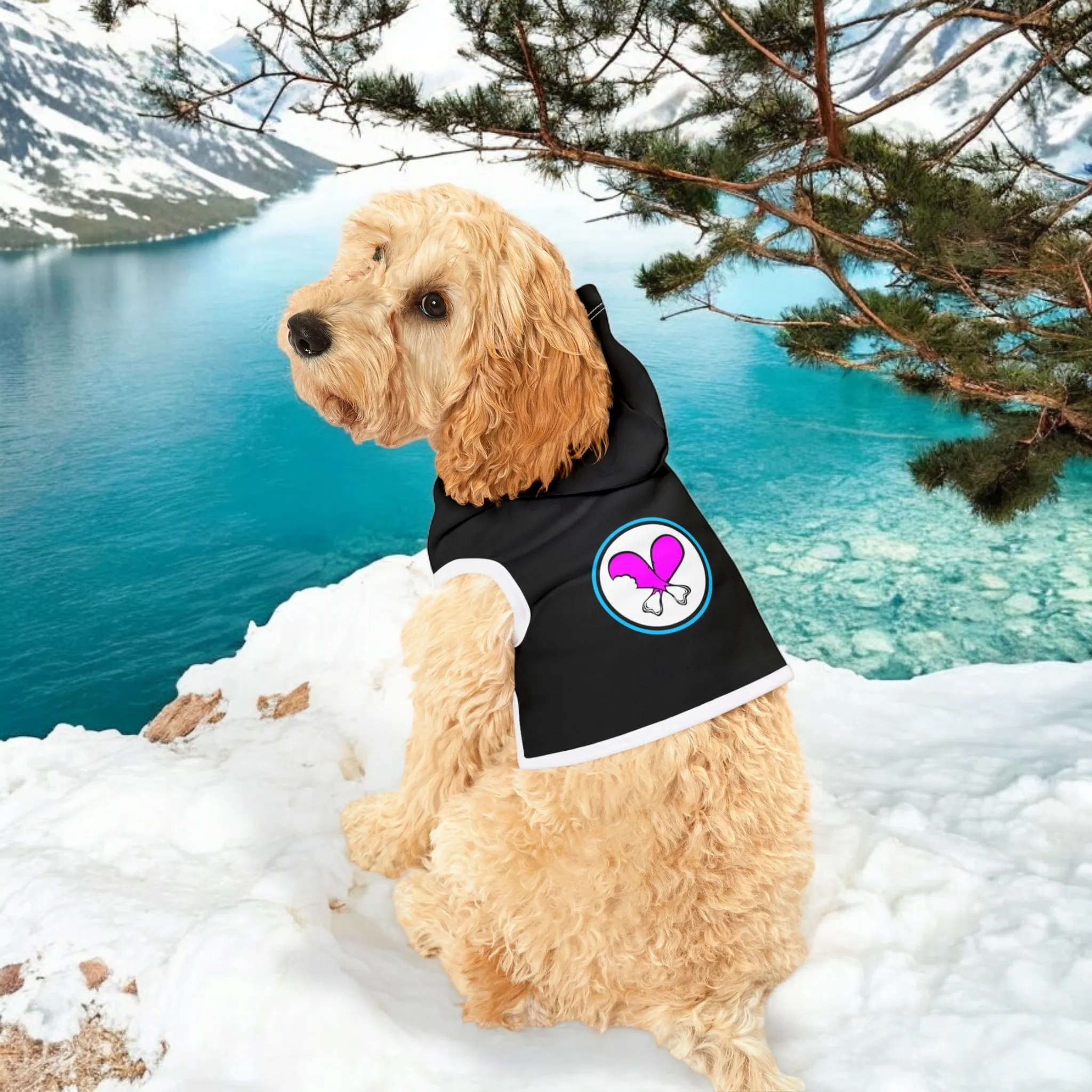 Cozy Pet Hoodie