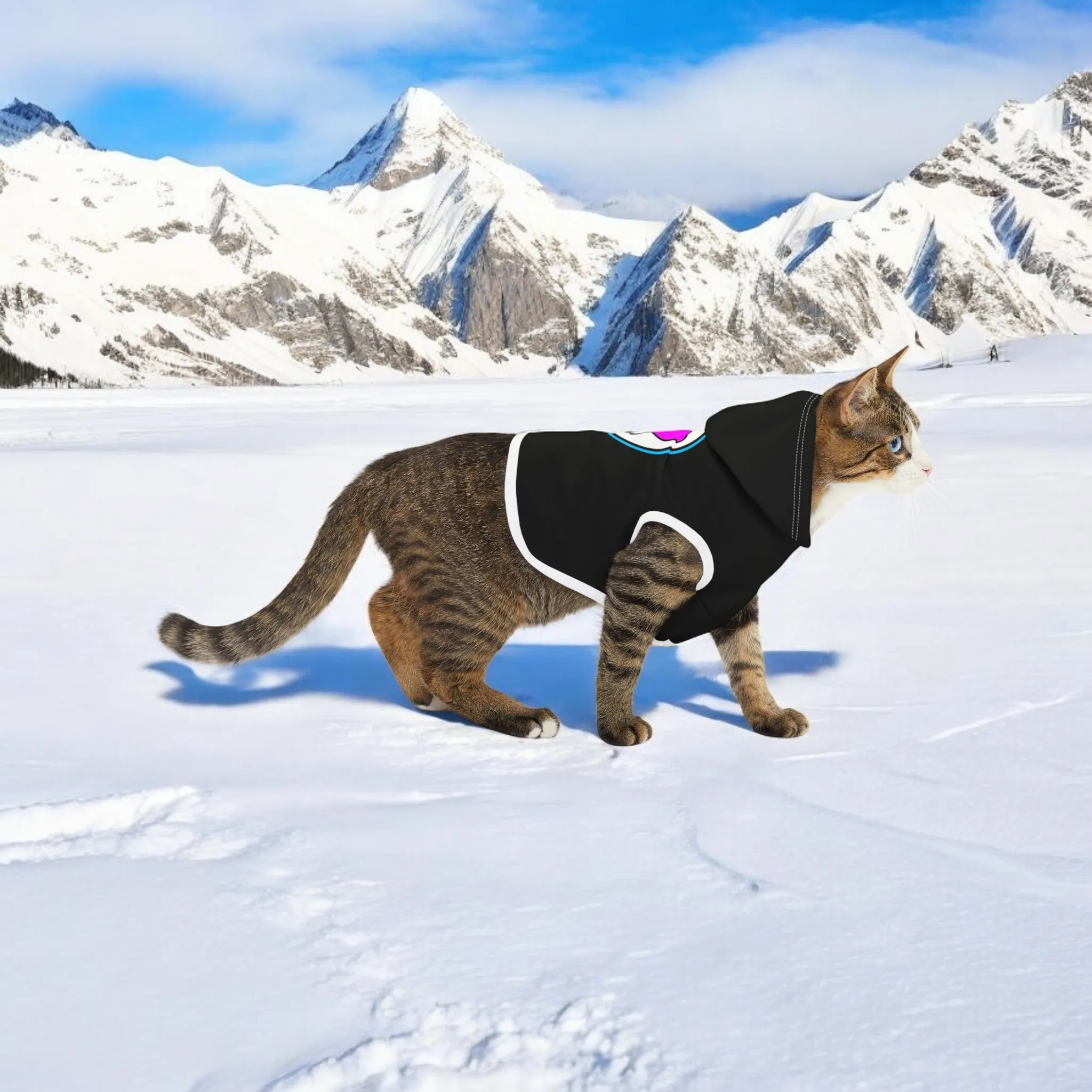 Cozy Pet Hoodie