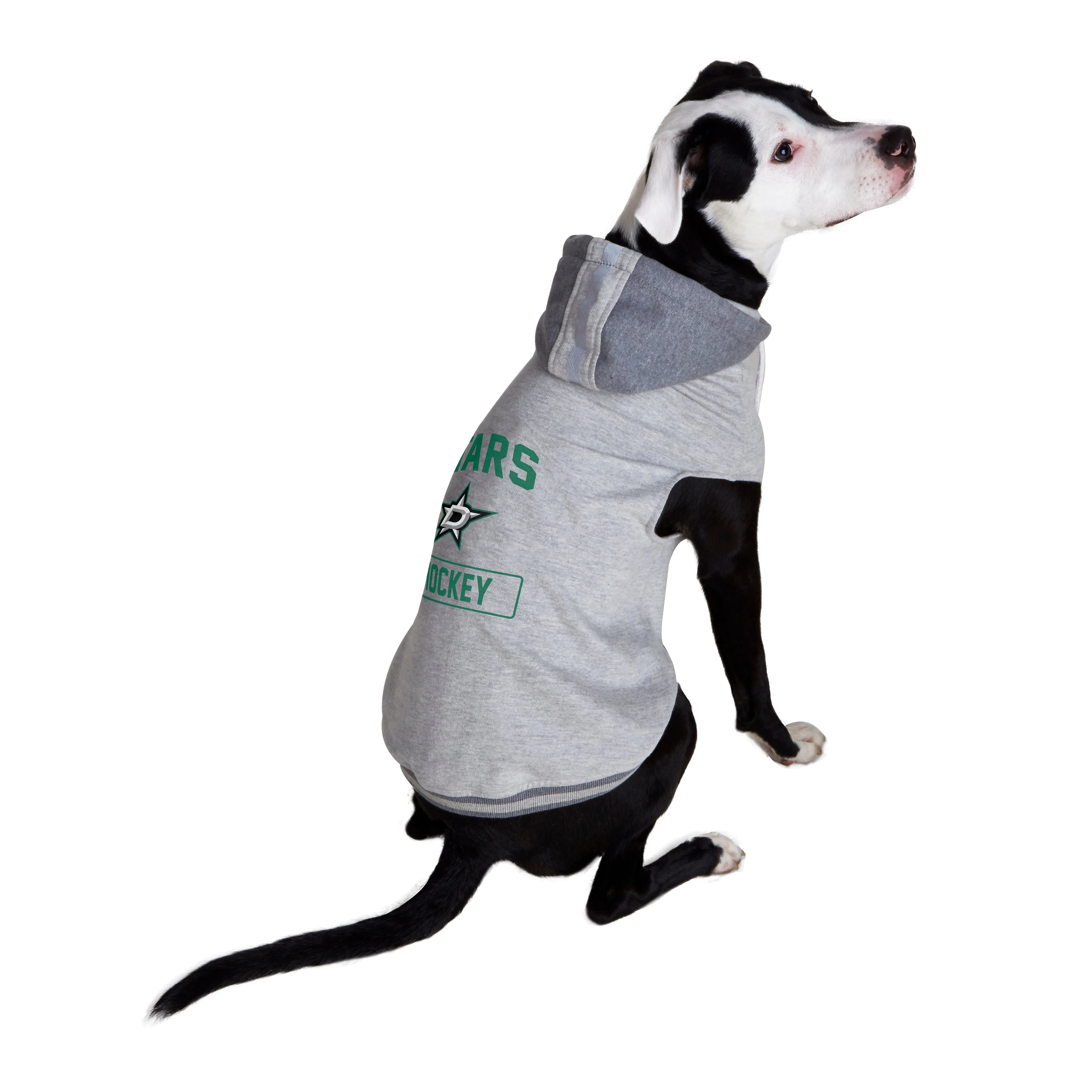 Dallas Stars Pet Hooded Crewneck Type