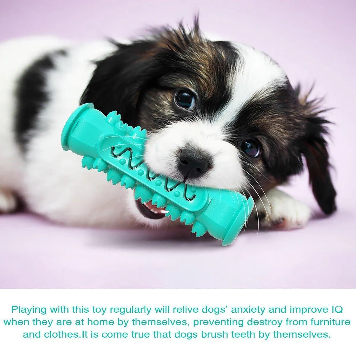 Dog Chew Toys for Aggressive Chewers Durable Dog Toys with Brush
