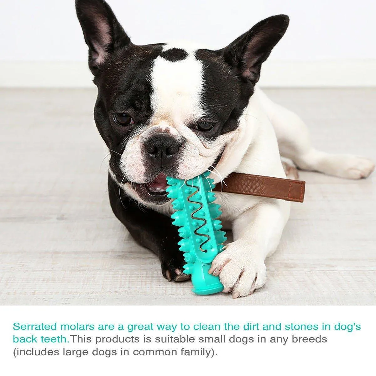 Dog Chew Toys for Aggressive Chewers Durable Dog Toys with Brush
