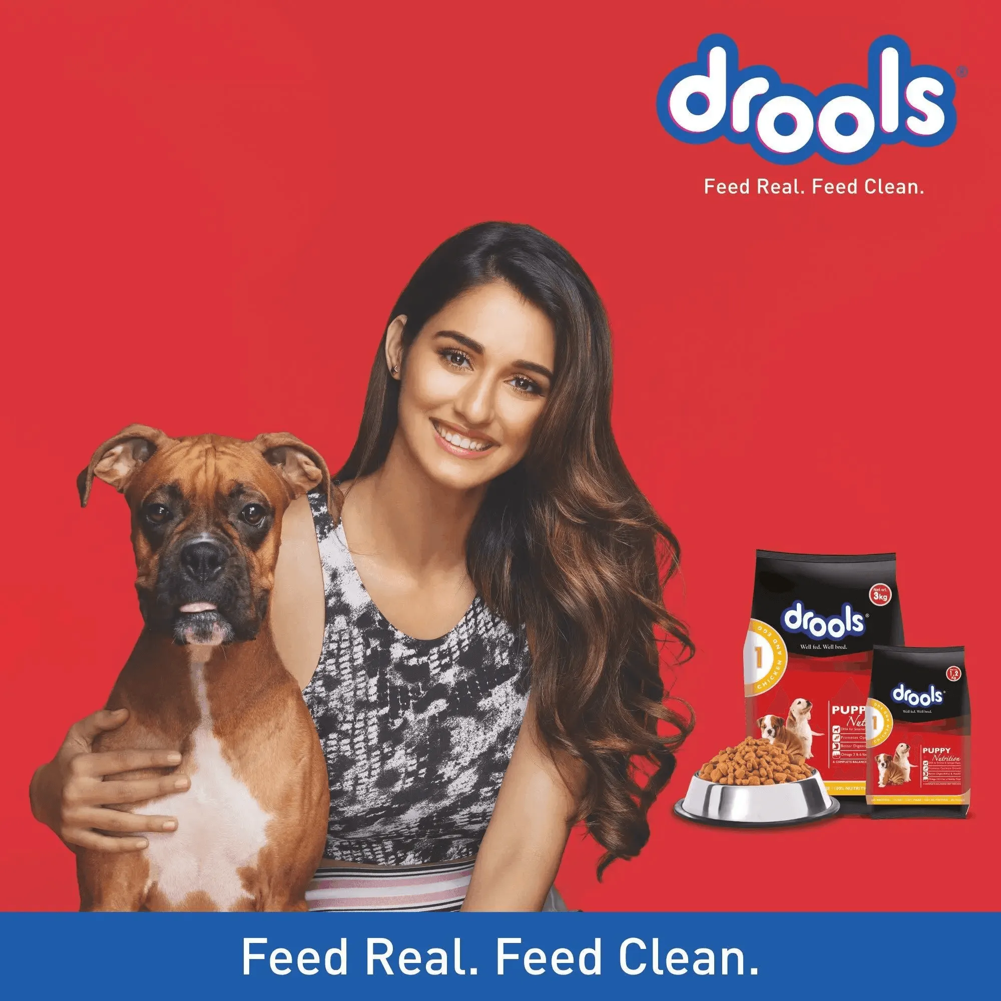 Drools Real Chicken Egg 10 Kg Dry Adult Dog Food