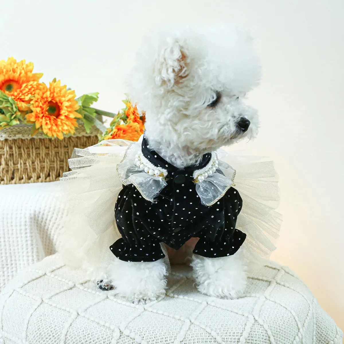 Elegance in Black Velvet: Dotted Princess Wedding Dress - Autumn and Winter Pet Fashion with Drawstring Buckle for Small to Medium Dogs