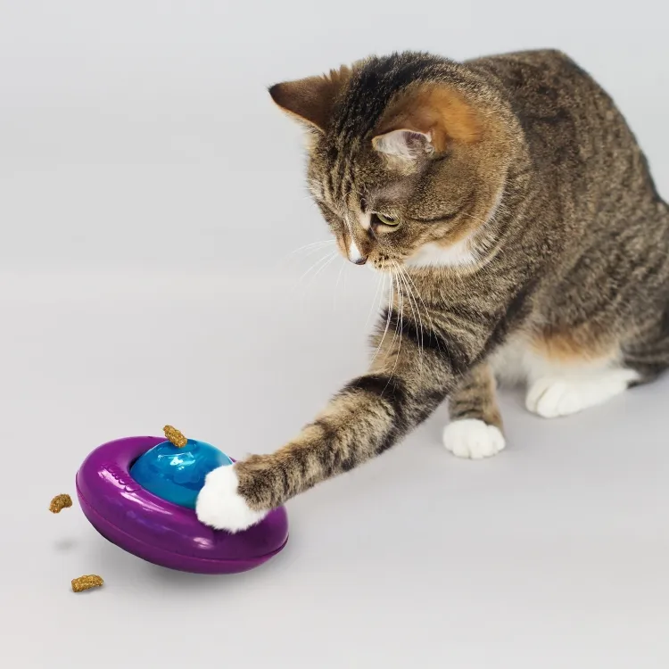Explore the KONG Infused Cat Gyro: Interactive Toy for Endless Feline Fun