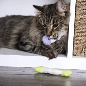 Fish Flop Crinkle Catnip Cat Toys