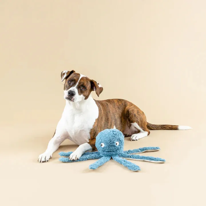 Fringe Dog Toy Earth Long Time No Sea