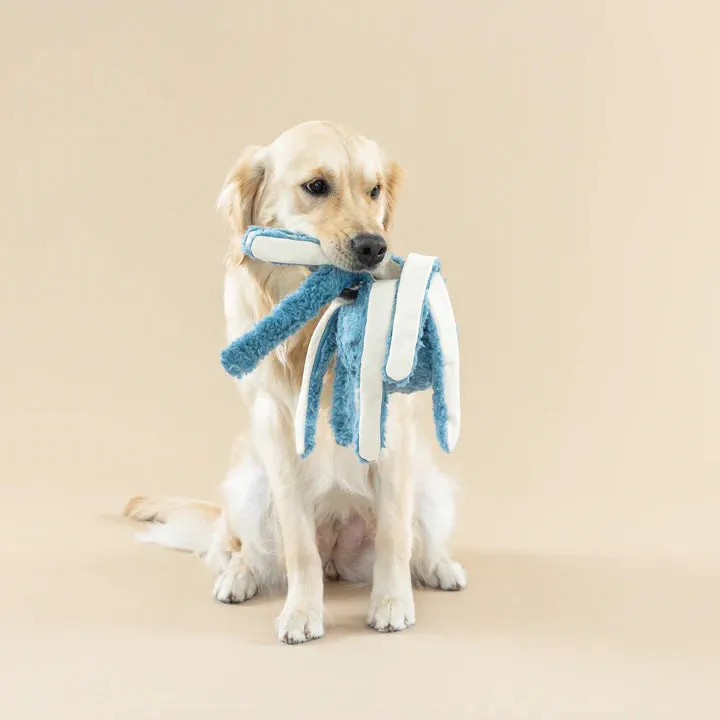 Fringe Dog Toy Earth Long Time No Sea