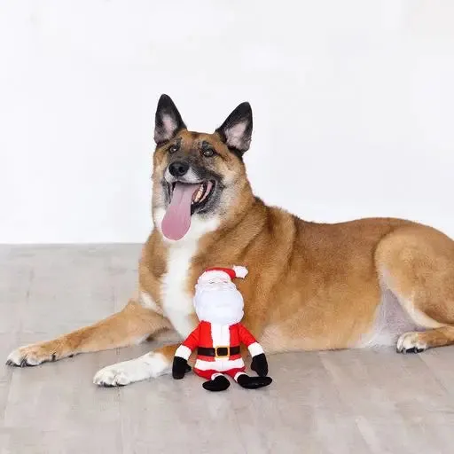 Fringe Dog Toy Holiday Santa's Back In Town