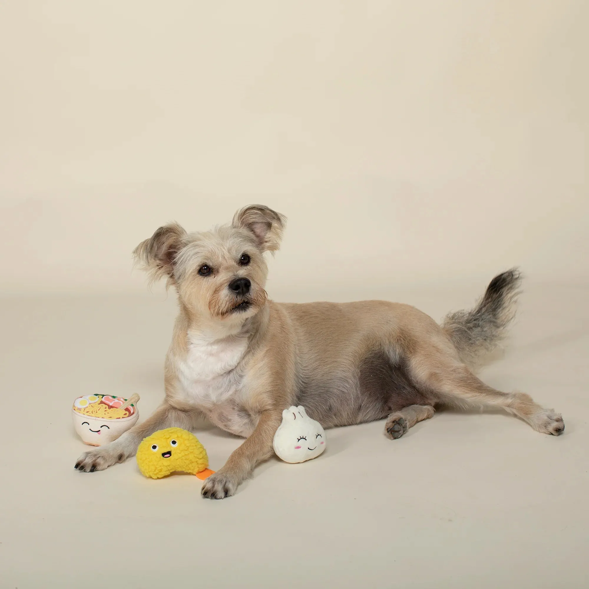 Fringe Dog Toy Soy Into You (Set of 3)