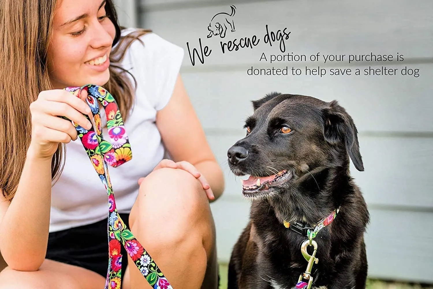 Lucky Love Dog Martingale Collar and Leash Set, Premium No Slip Collar and Leash Set, Great for Whippets, Greyhounds, and More (Blackbird, Small - Combo)