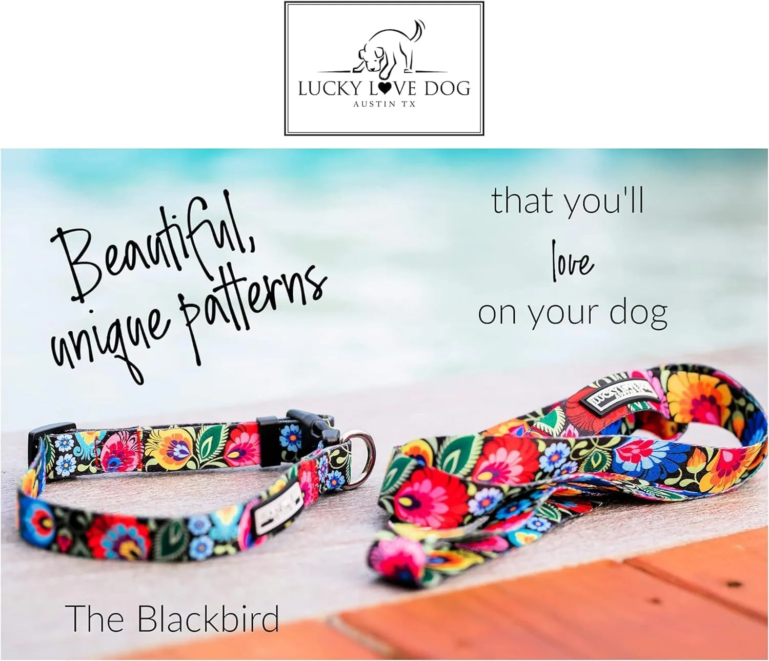 Lucky Love Dog Martingale Collar and Leash Set, Premium No Slip Collar and Leash Set, Great for Whippets, Greyhounds, and More (Blackbird, Small - Combo)
