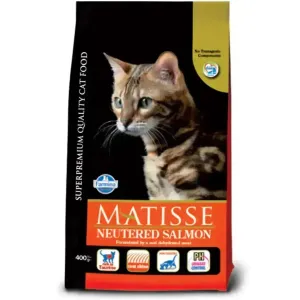 Matisse NEUTERED SALMON