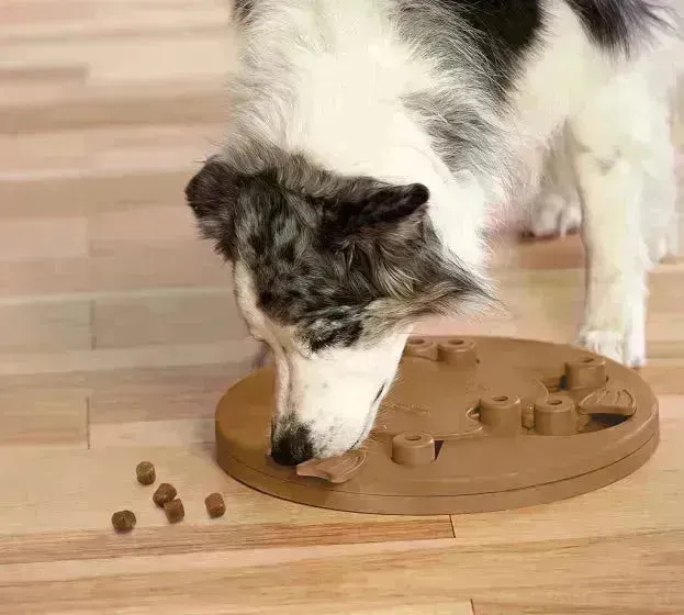 Nina Ottosson Dog Worker Game, Slide Cups & Twist Flaps