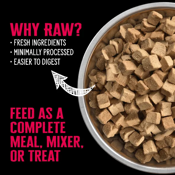 Nutrience SubZero Freeze-Dried Raw Beef & Pumpkin Dog Food