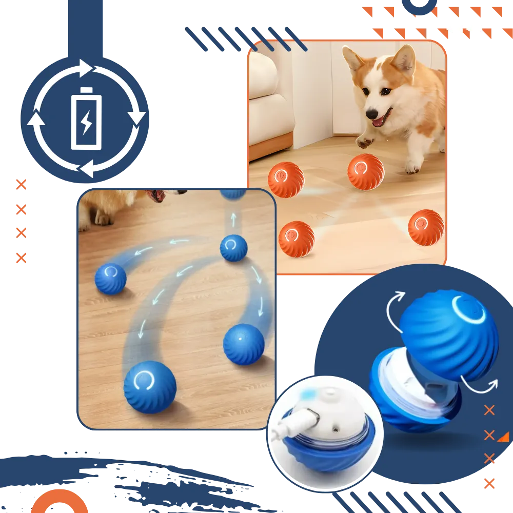 Obstacle Avoidance Dog Ball