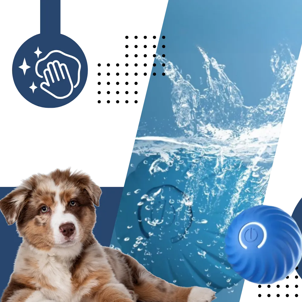 Obstacle Avoidance Dog Ball