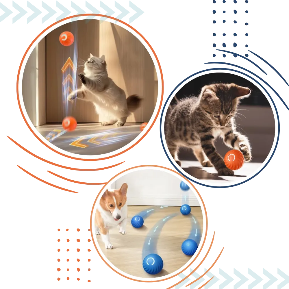 Obstacle Avoidance Dog Ball