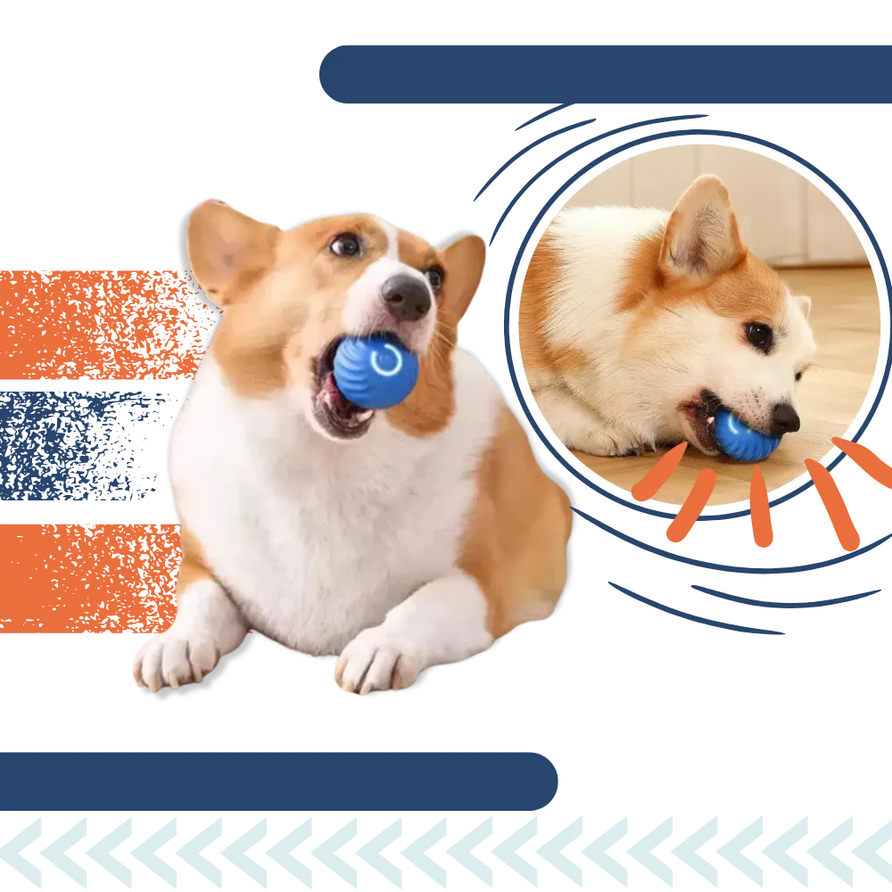Obstacle Avoidance Dog Ball