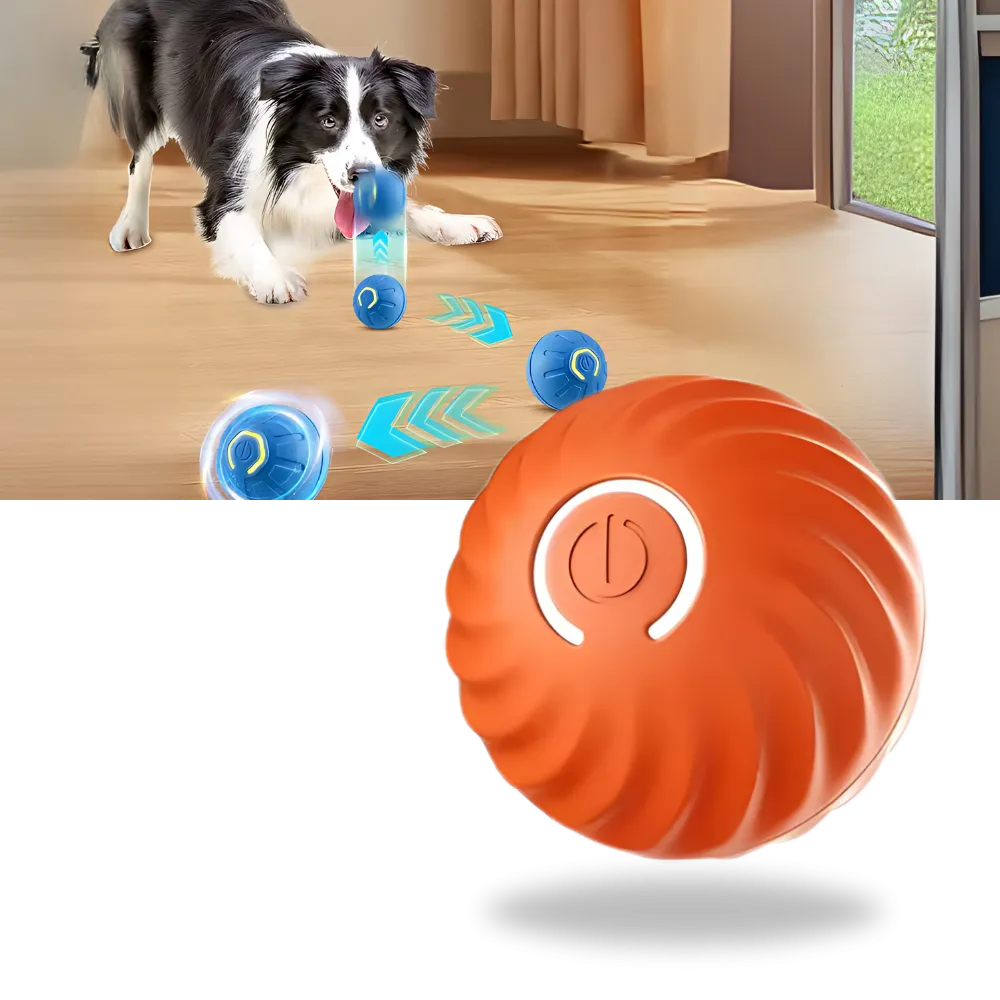 Obstacle Avoidance Dog Ball