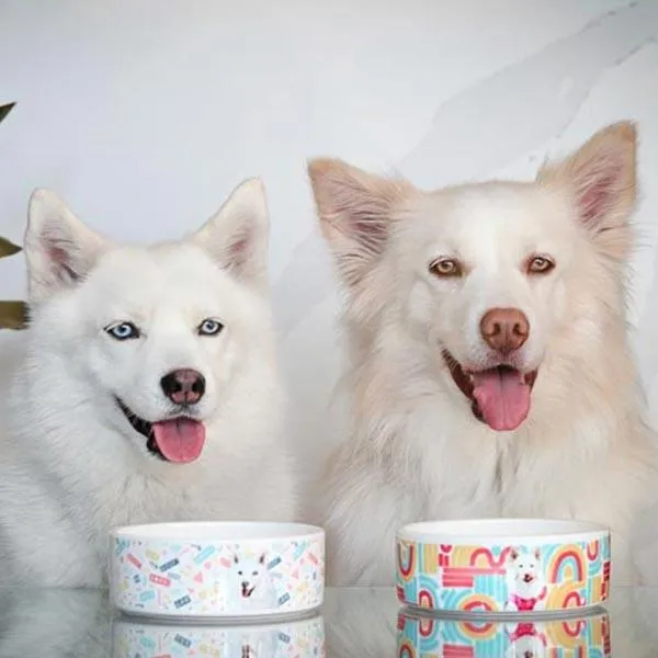 Original Pet Pop Art Pet Bowls