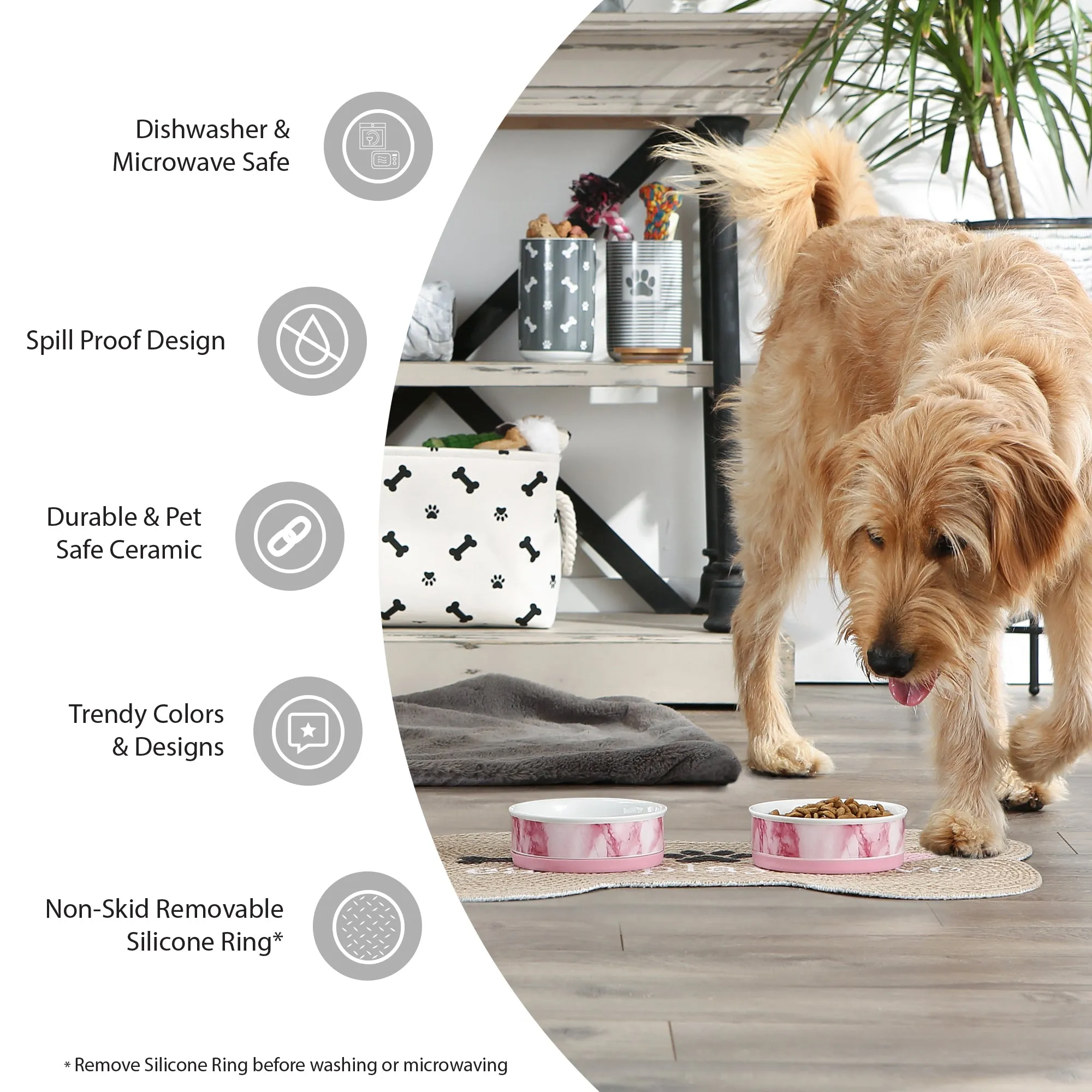 Pansy Petite Check Pet Bowl Set of 2, Medium - 1.5 C. Capacity