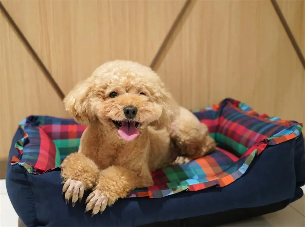 Personalized Navy Velvet Dog Bed, Classic Plaid Checked Dog Bed, Premium Dog Bed, Plush Fleece Base