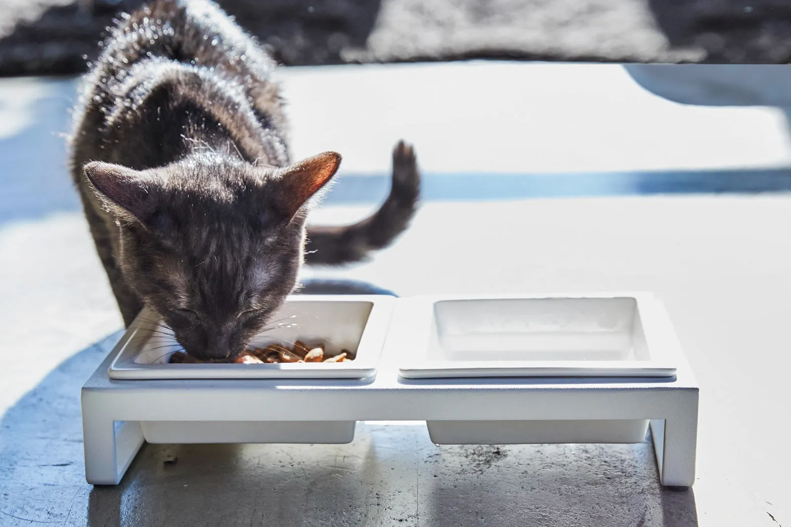 Pet Food Bowl from Yamazaki Home