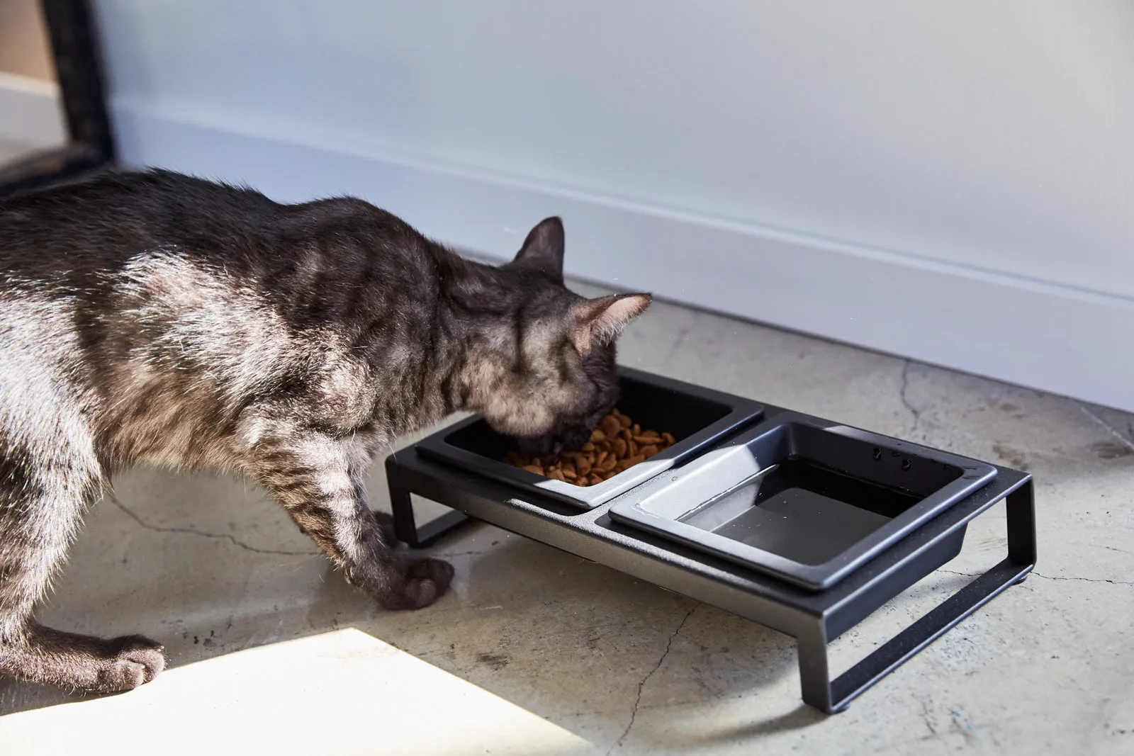 Pet Food Bowl from Yamazaki Home