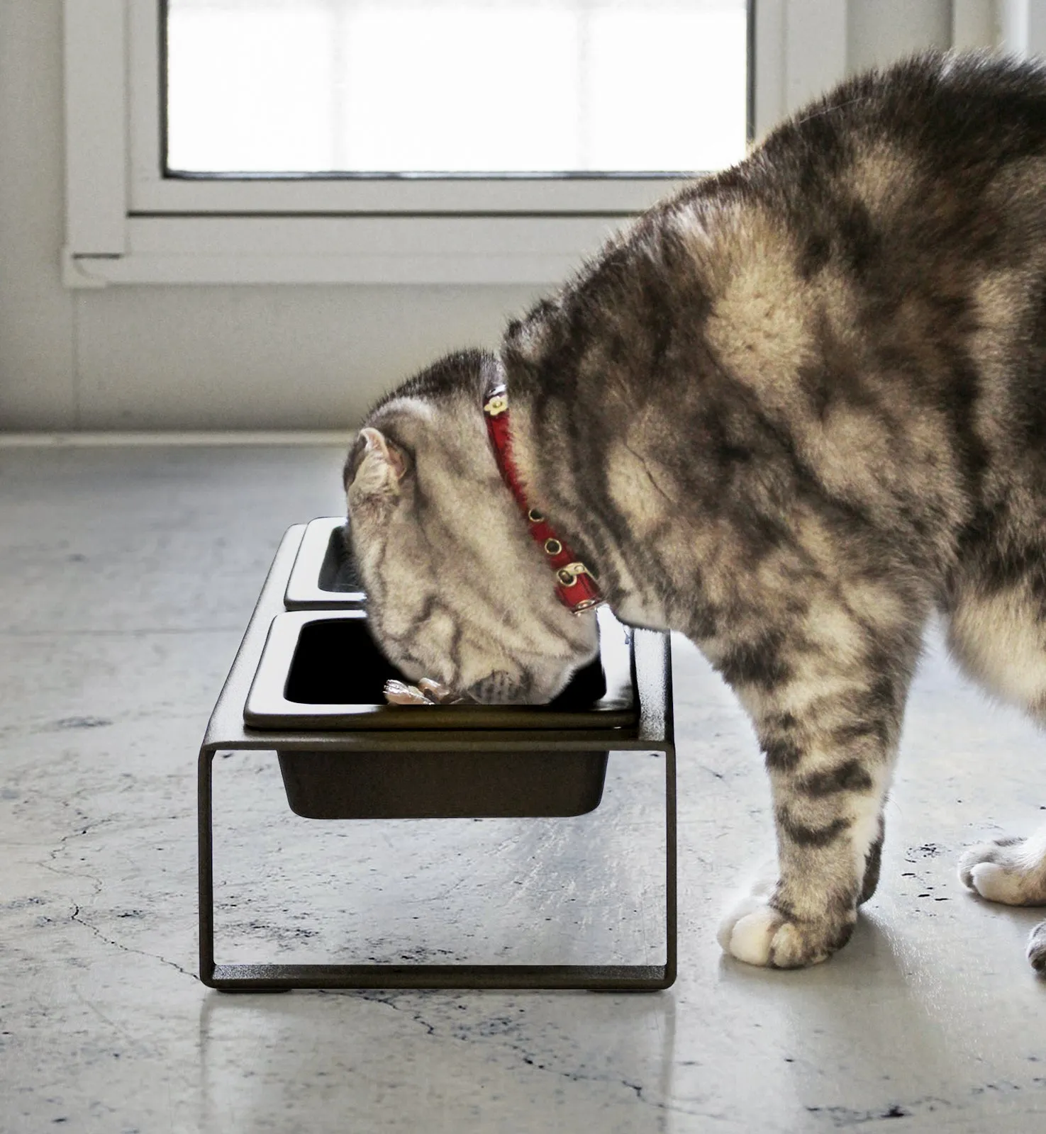 Pet Food Bowl from Yamazaki Home