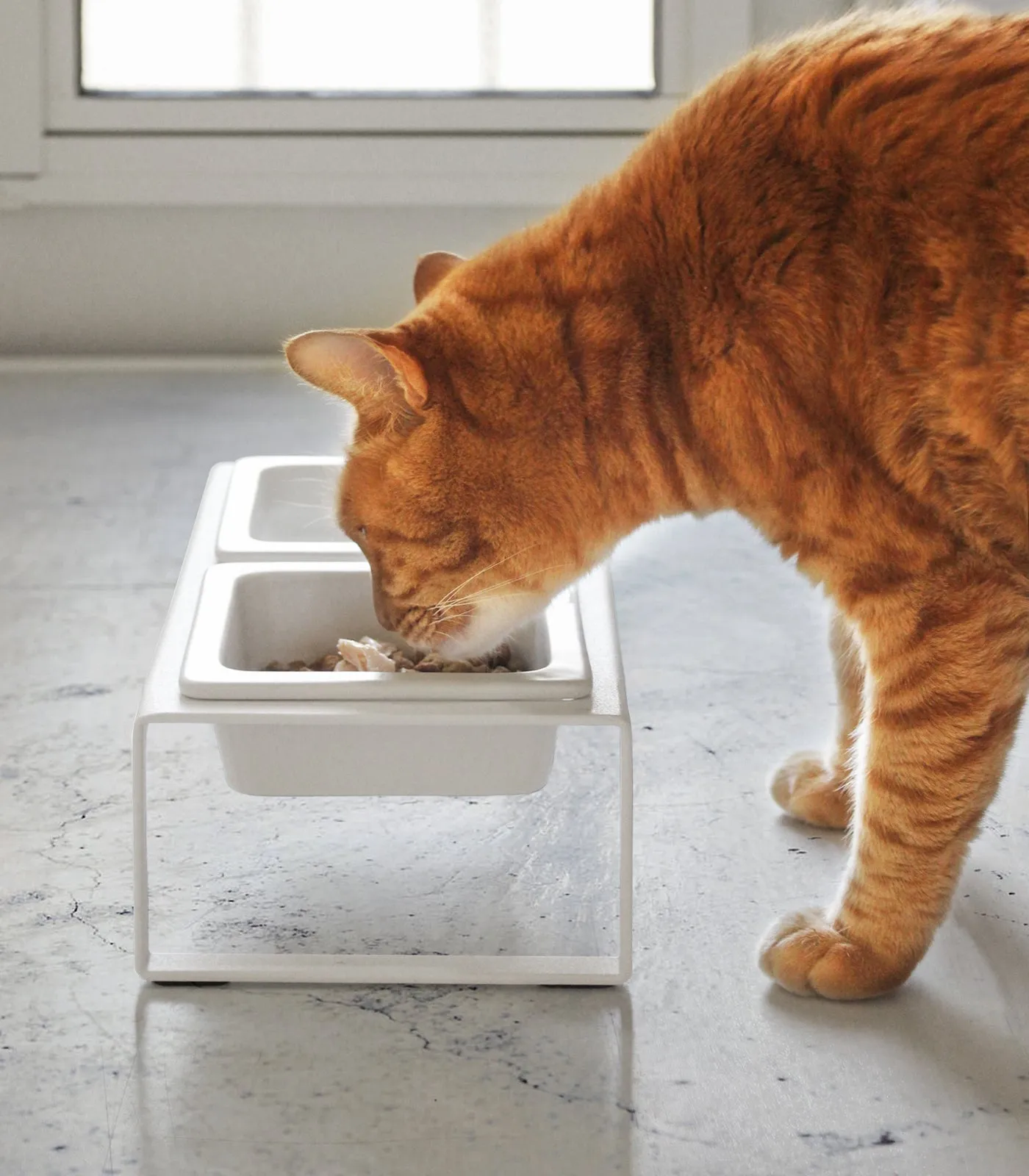 Pet Food Bowl from Yamazaki Home
