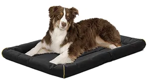 Quiett Time Maxx Ultra Rugged Bed