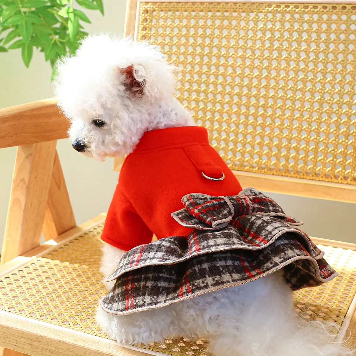 Regal Glamour: Big Red Princess Dress - Autumn and Winter Pet Apparel with Thickened Warmth and Belt Pull Cord Buckle for Small to Medium Dogs