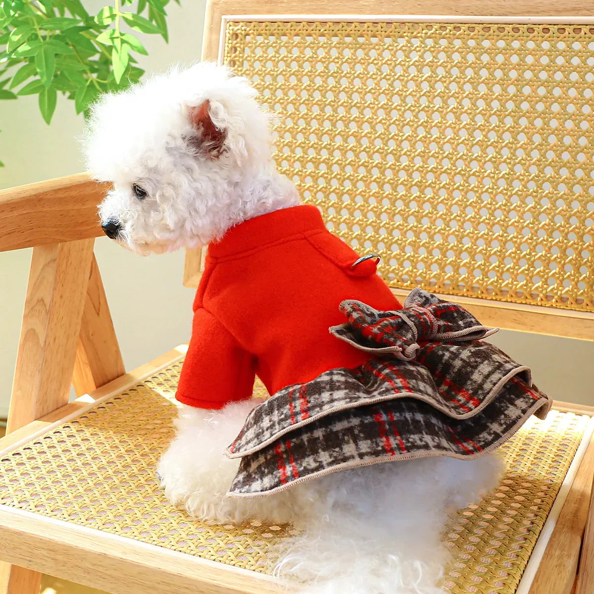 Regal Glamour: Big Red Princess Dress - Autumn and Winter Pet Apparel with Thickened Warmth and Belt Pull Cord Buckle for Small to Medium Dogs