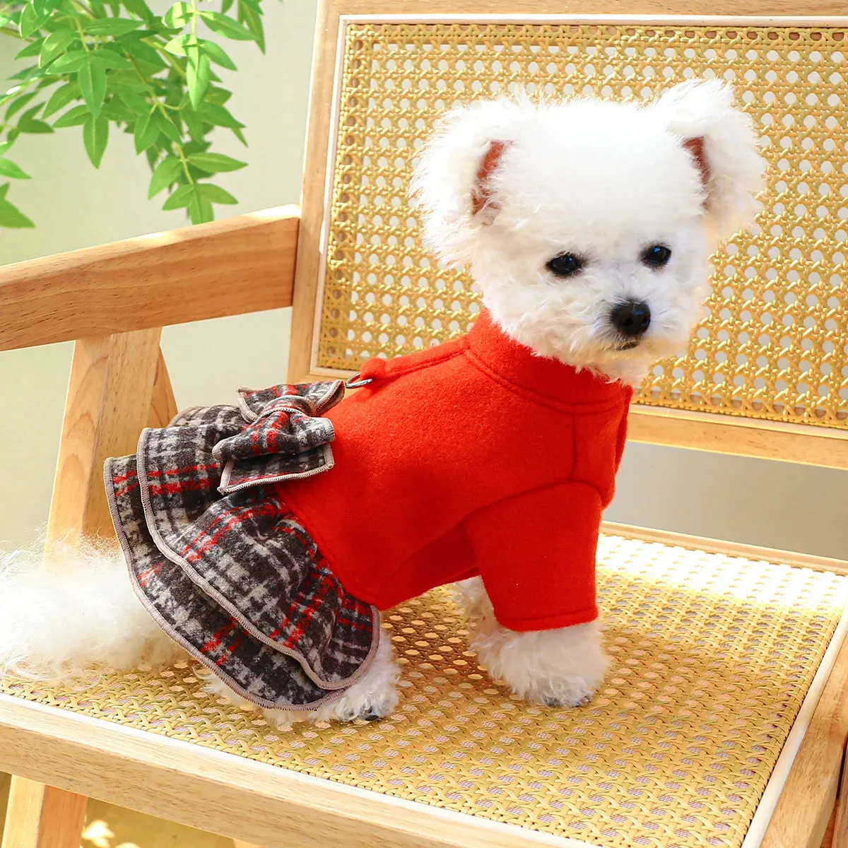 Regal Glamour: Big Red Princess Dress - Autumn and Winter Pet Apparel with Thickened Warmth and Belt Pull Cord Buckle for Small to Medium Dogs