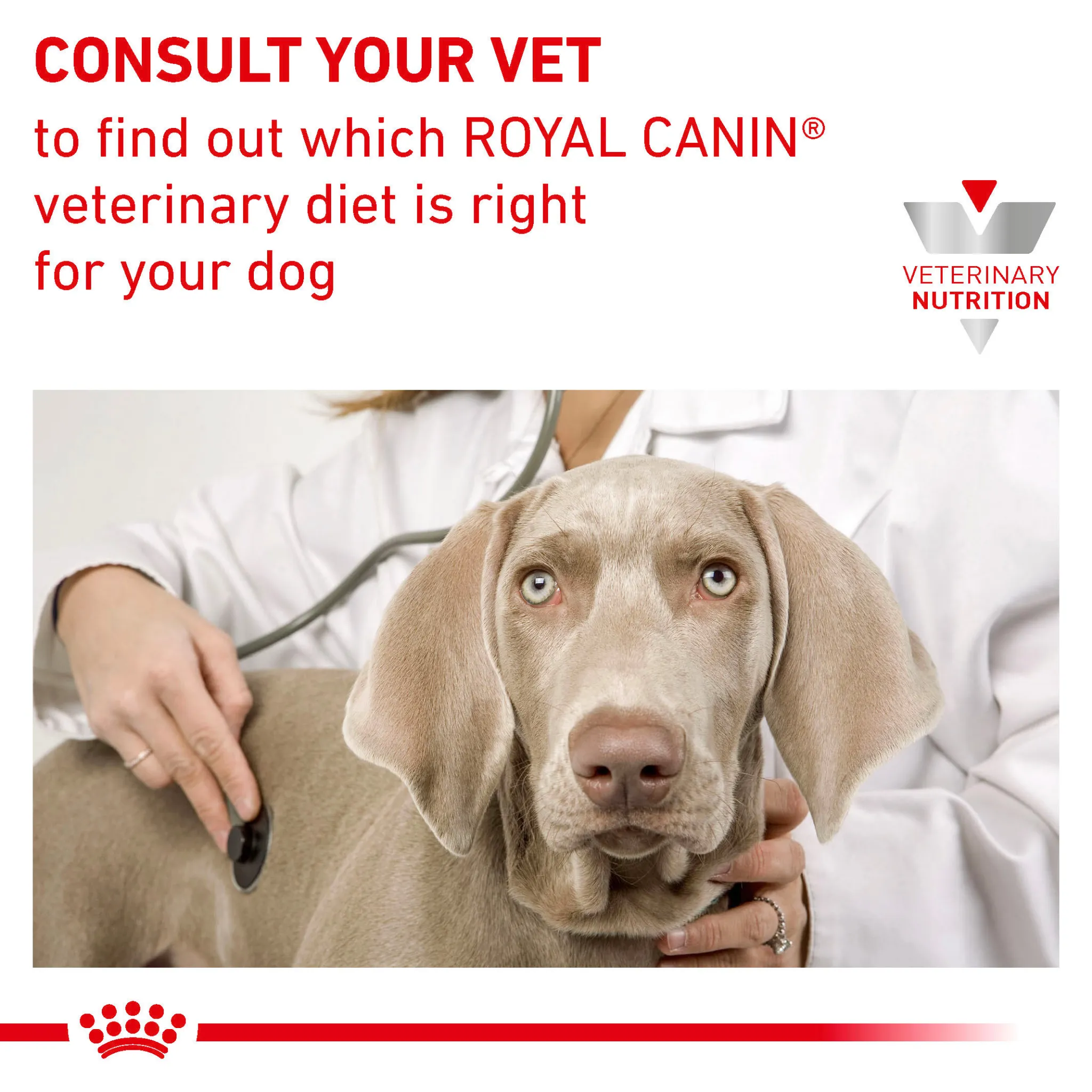 ROYAL CANIN® Gastrointestinal Puppy Wet Dog Food