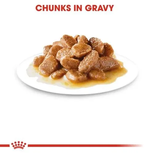 Royal Canin Wet Dog Food Mini Adult Pouch Gravy 12 x 85g