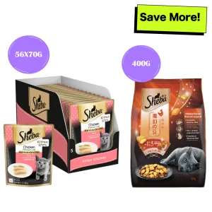 Sheba Chicken Loaf Premium Kitten (2 to 12 Months) Wet Food and Chicken All Life Stage Cat Dry Food Combo