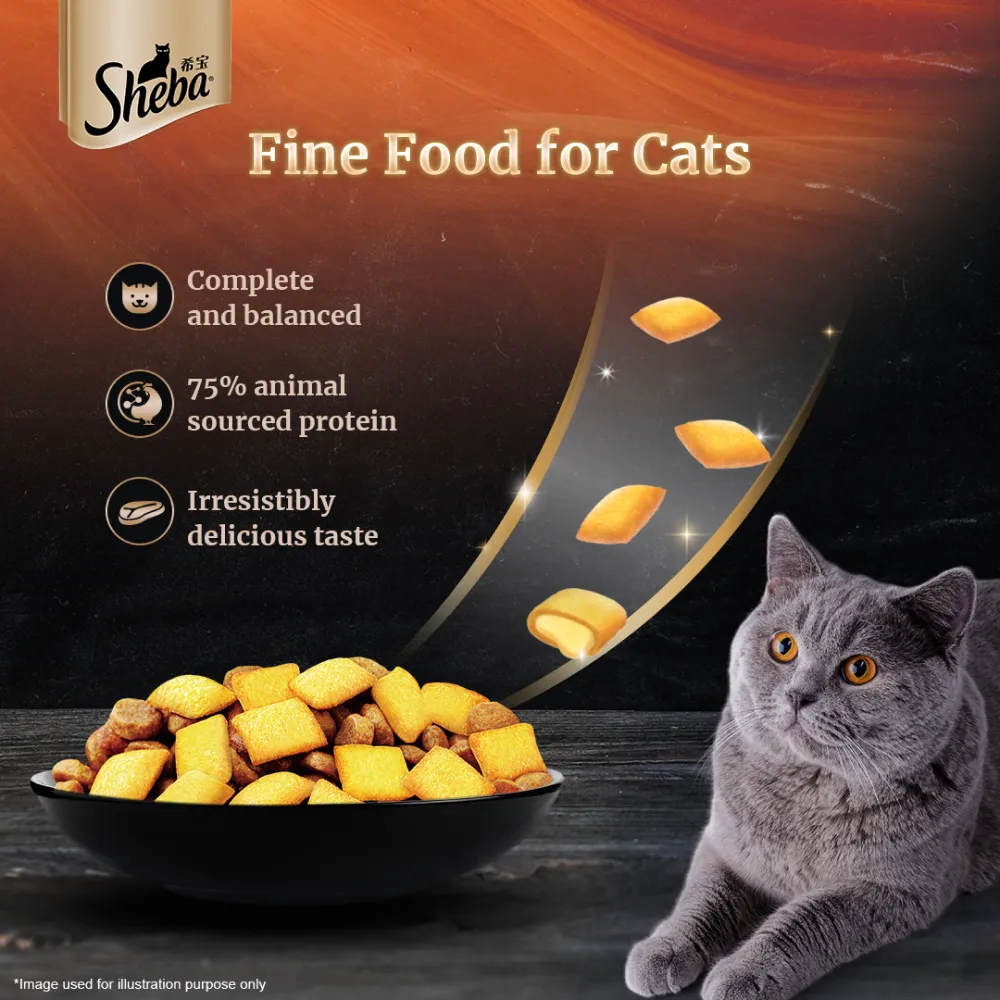 Sheba Complete Nutrition Tuna White Meat & Snapper In Gravy Cat Wet Food and Sheba Chicken Flavour Irresistible Cat Dry Food Combo