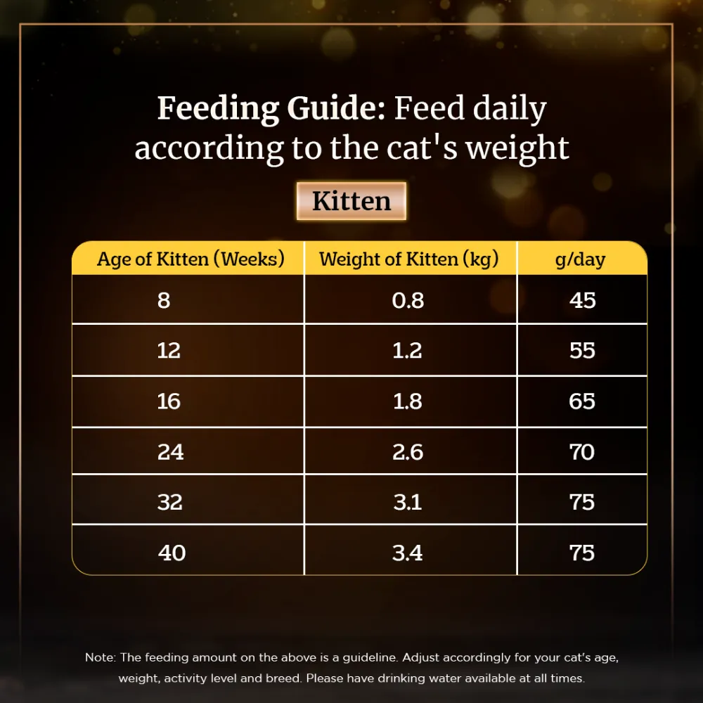 Sheba Complete Nutrition Tuna White Meat & Snapper In Gravy Cat Wet Food and Sheba Chicken Flavour Irresistible Cat Dry Food Combo