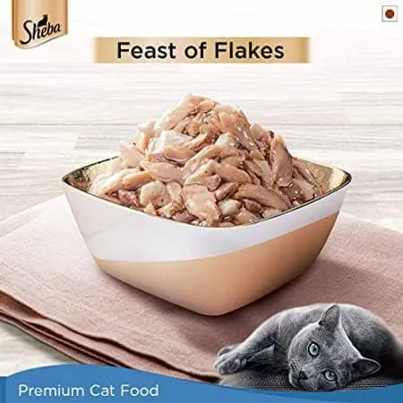 Sheba Maguro & Bream Fish Mix Premium Cat Wet Food and Salmon Flavour Irresistible All Life Stages Cat Dry Food Combo