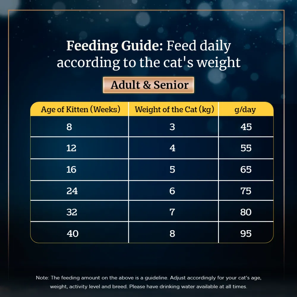 Sheba Pure Tuna Filets in Jelly Premium Cat Wet Food and Salmon Flavour Irresistible All Life Stages Cat Dry Food Combo