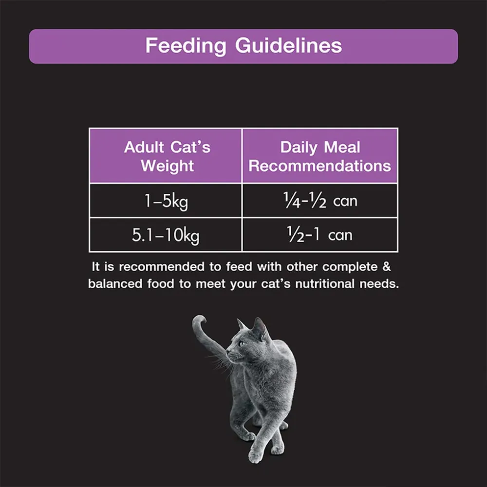 Sheba Pure Tuna Filets in Jelly Premium Cat Wet Food and Salmon Flavour Irresistible All Life Stages Cat Dry Food Combo