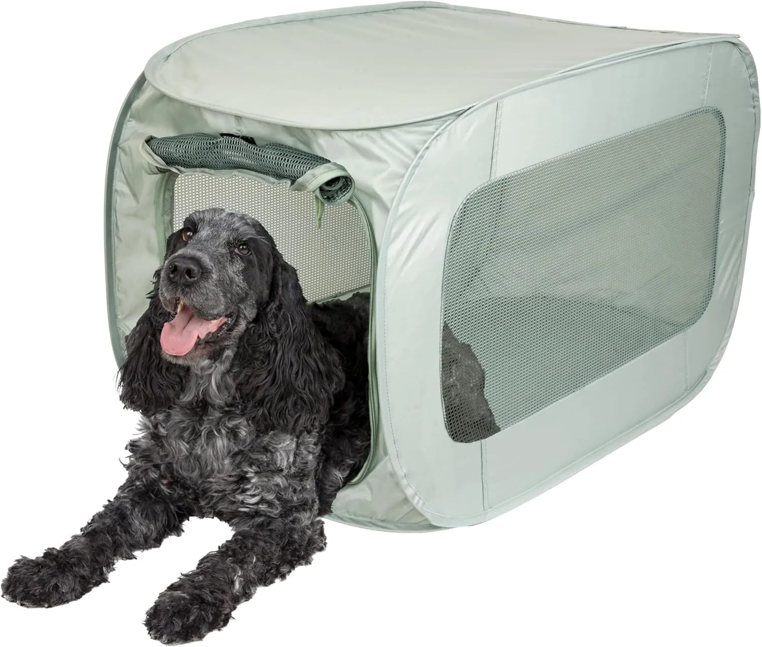 SportPet Designs Large Pop Open Kennel, Portable Cat Cage Kennel