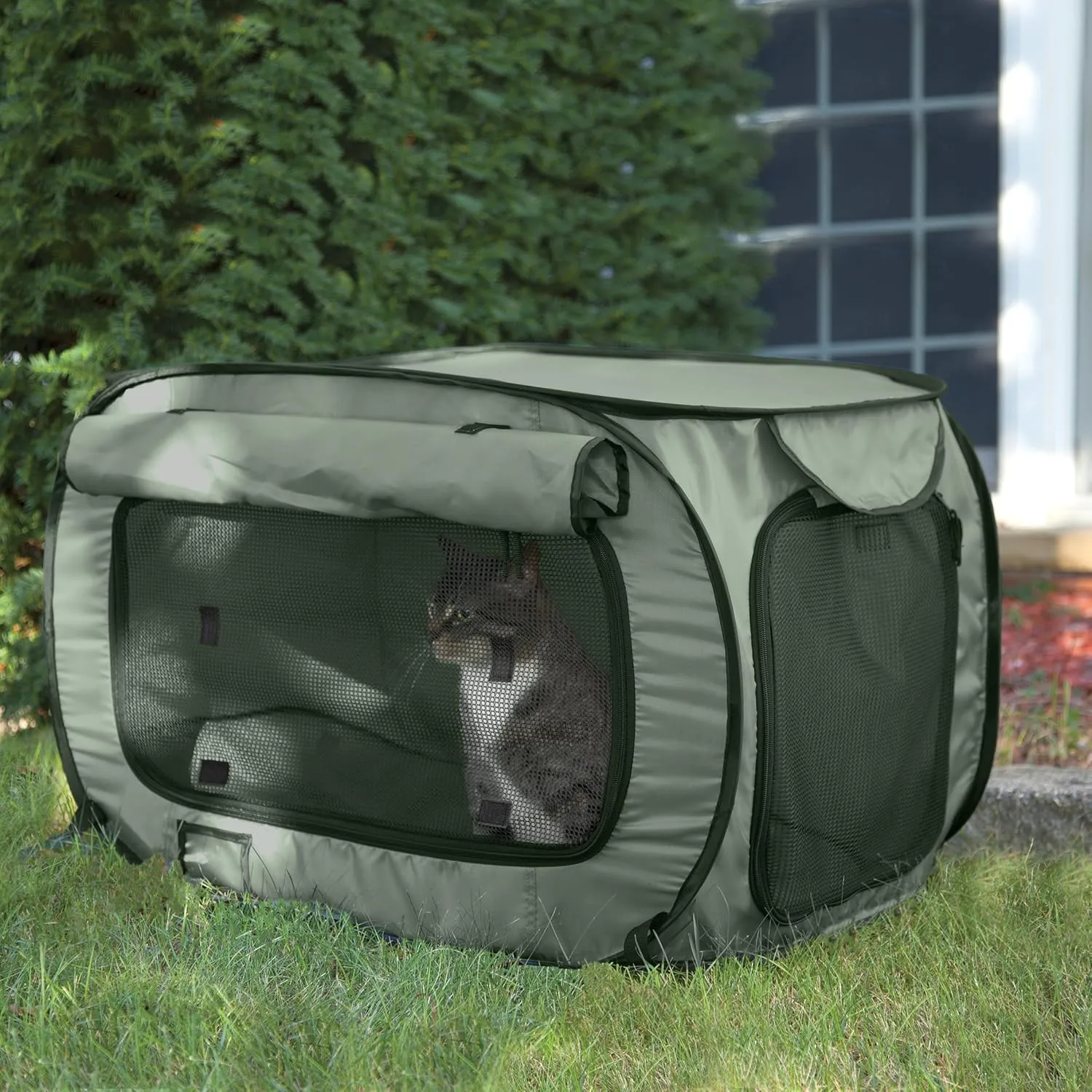 SportPet Designs Large Pop Open Kennel, Portable Cat Cage Kennel