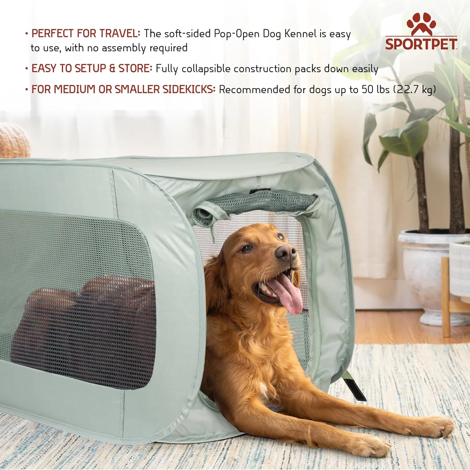 SportPet Designs Large Pop Open Kennel, Portable Cat Cage Kennel
